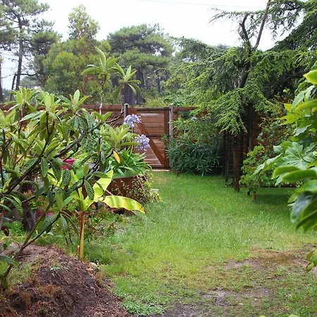 Family With Garden, Pool And Within Walking Distance Lacanau